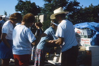 Picking and selling peas 027 thumbnail