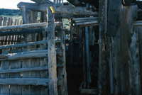 Pilgrimage 031 thumbnail