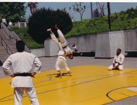 Cultural Activity 1988 01 thumbnail