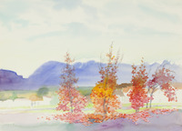 06 Woodward Park thumbnail