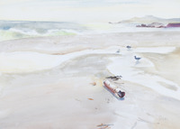 Carmel Beach Birds and Driftwood thumbnail