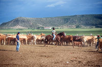 Colorado rural life 037 thumbnail