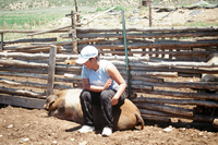 Colorado rural life 008 thumbnail