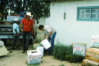 Picking and selling peas 023 thumbnail