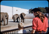 Jeff and Glenna watch elephants thumbnail