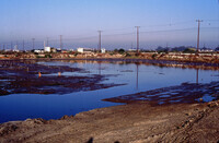 Pt. Mugu Wetlands thumbnail