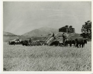 First Polytechnic building under construction thumbnail