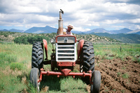 Kaber farm, Plowing 016 thumbnail