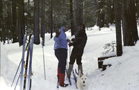 Cross Country Skiing by Shaver Lake Cabin thumbnail