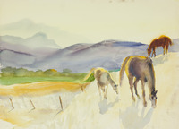 09 Santa Ynez thumbnail