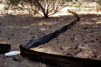 Amphibian/reptile trap thumbnail