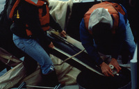 Thermally insulated cod end thumbnail