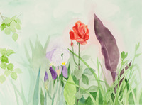 Iris and Rose Pickford Home thumbnail