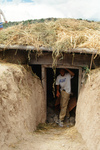 Gallegos farm, Root cellar construction 150 thumbnail