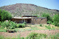 Kaber farm, Animals 003 thumbnail