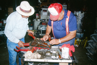 Kaber farm, Tractor repairs 023 thumbnail