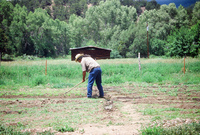 Montoya farm, Irrigating fields 007 thumbnail