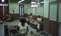Cigar making in Cuba thumbnail
