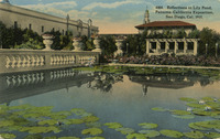 Reflections in Lily Pond thumbnail