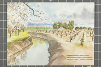 American Contract Bridge League thumbnail