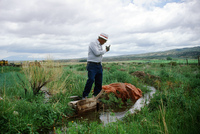 Kaber farm, Irrigating fields 014 thumbnail