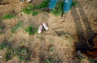 Root cellar construction 033 thumbnail