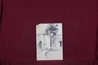 Stanford Palm and Building thumbnail