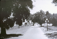 Ventura Boulevard, near Encino, CA thumbnail