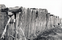 Martinez farm 018 thumbnail