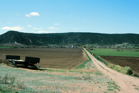 San Luis Valley orchards 001 thumbnail