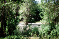 Anguallo farm, Illegal dumping and farm work 005 thumbnail