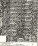 1979 Fresno Co Index 19 [Fresno County, California aerial survey, 1979] thumbnail