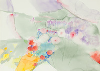 Wildflowers soft thumbnail