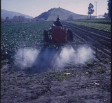 Agricultural Department: Pest Control, 1966 thumbnail
