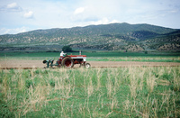 Kaber farm, Field burning and plowing 011 thumbnail