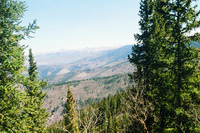 Logging 002 thumbnail