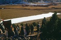 Logging protests 077 thumbnail